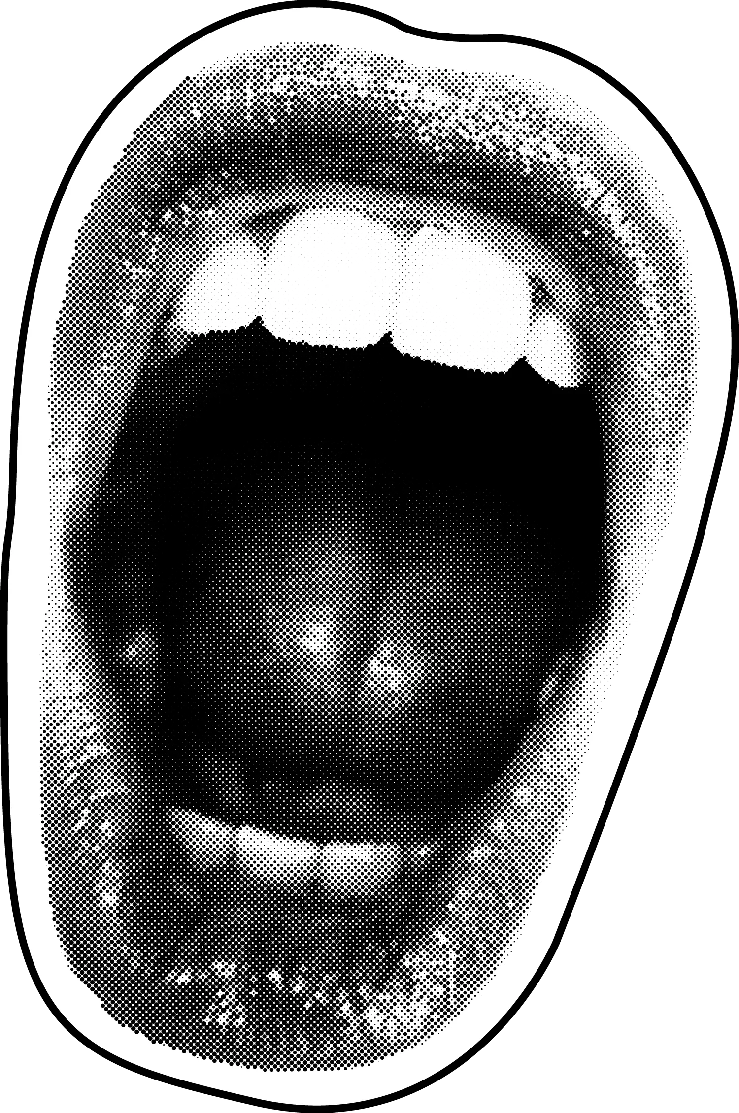 Mouth